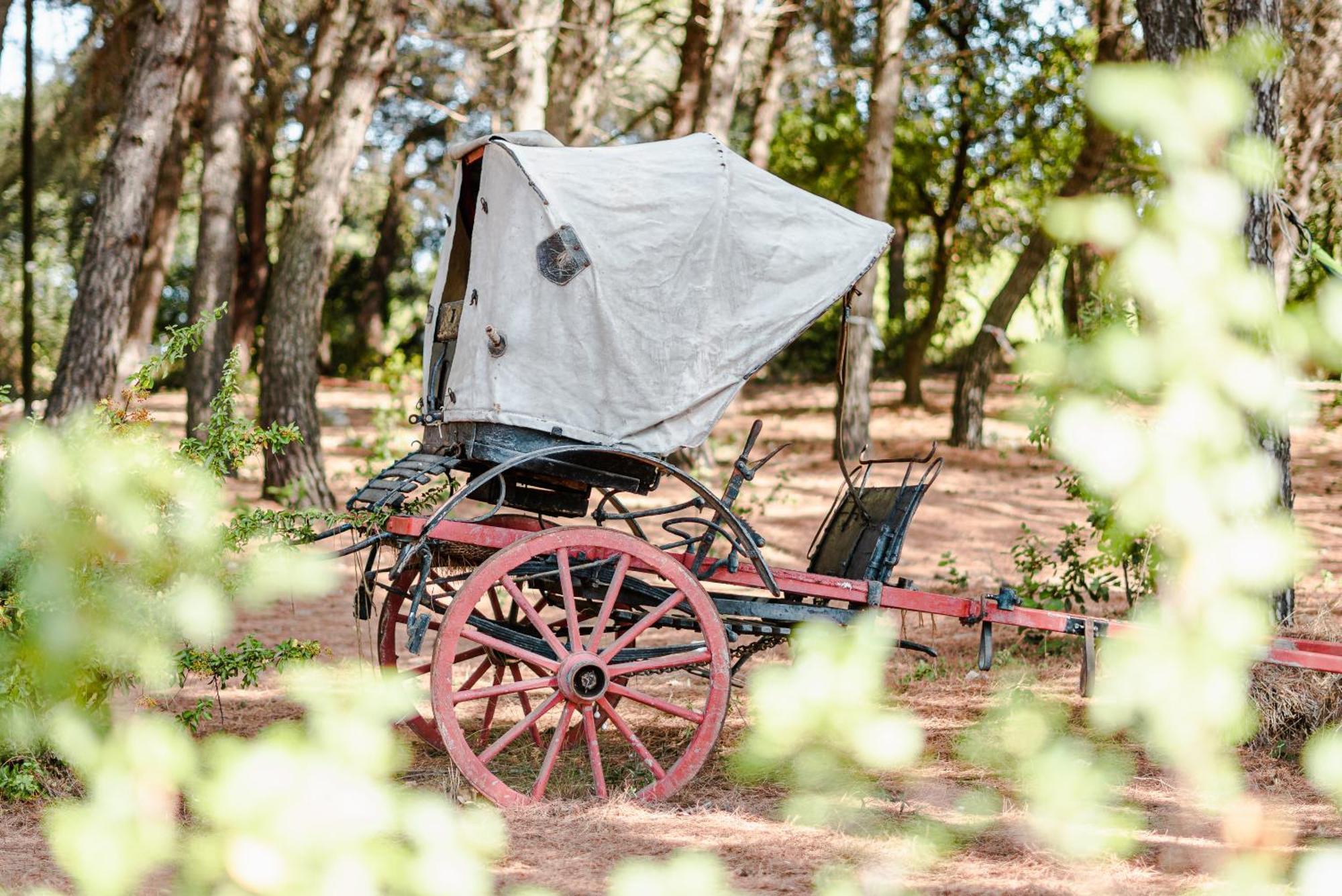 19 Secolo - Trulli Con Foresta, Bici E Barbecue Cisternino Extérieur photo