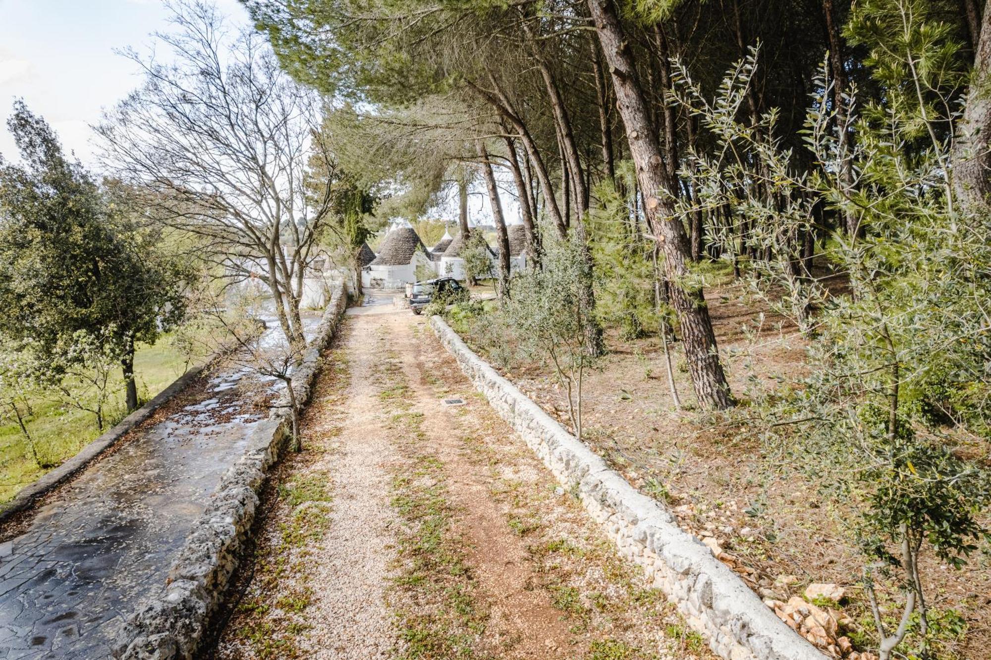19 Secolo - Trulli Con Foresta, Bici E Barbecue Cisternino Extérieur photo