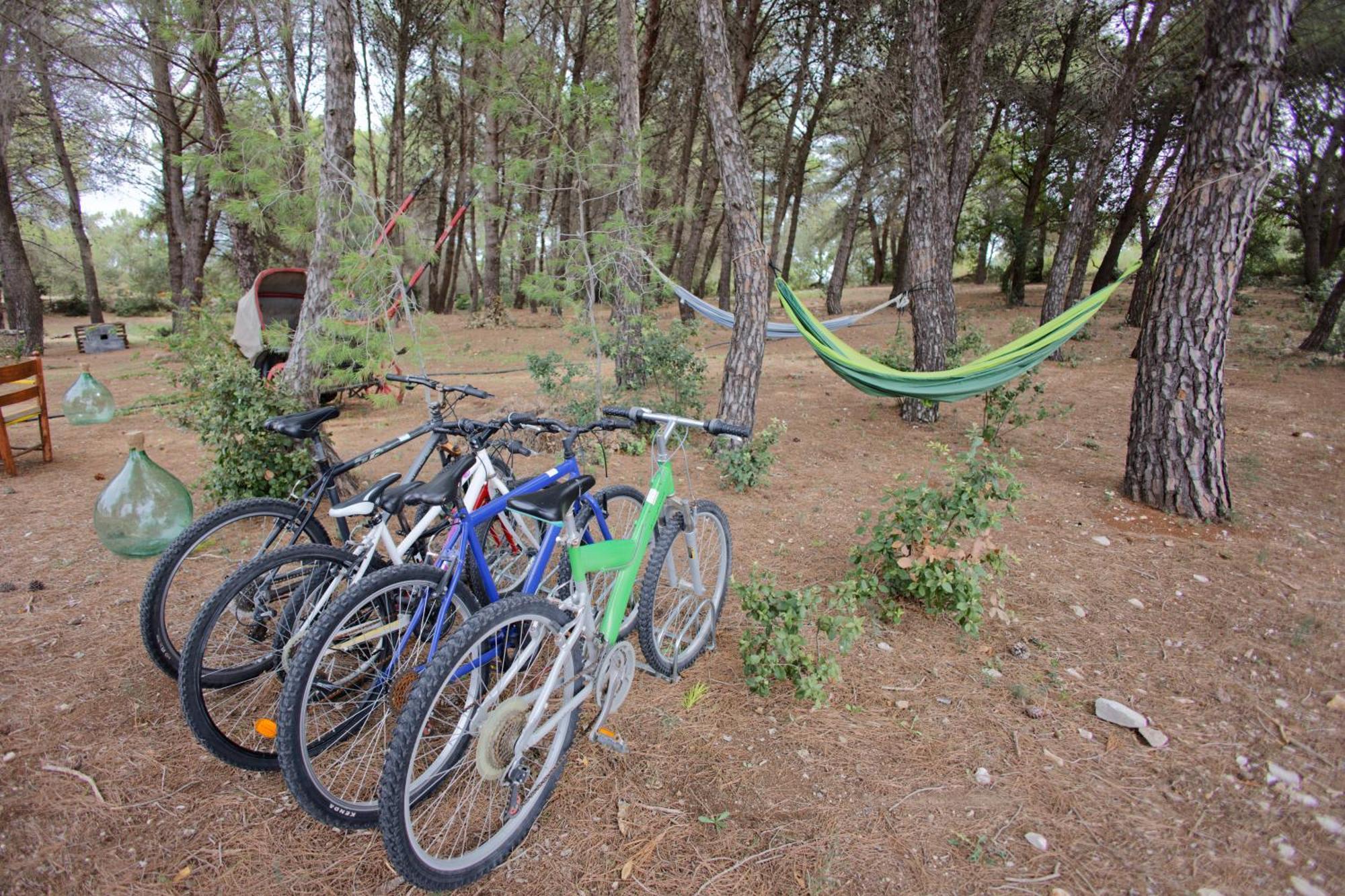 19 Secolo - Trulli Con Foresta, Bici E Barbecue Cisternino Extérieur photo